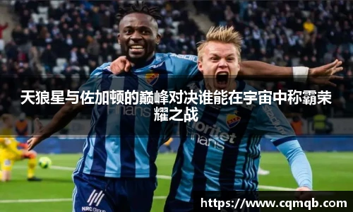 伟德bv国际体育